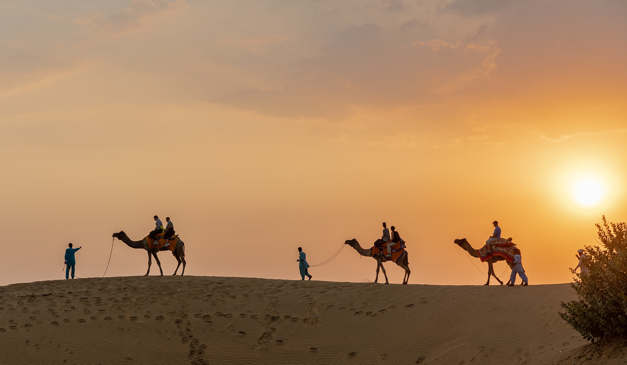 Camel ride at sunset in Rajasthan. Credit: Ninara