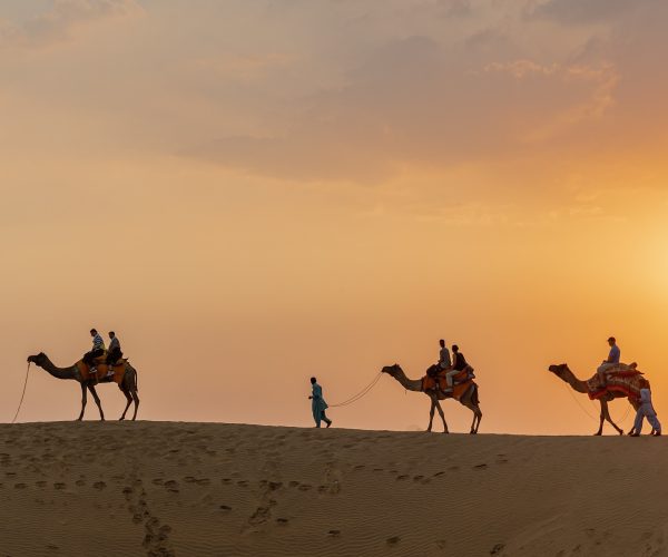 Camel ride at sunset in Rajasthan. Credit: Ninara